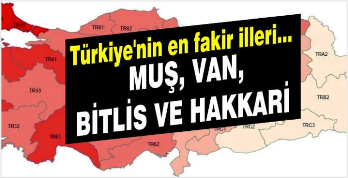 Muş, Van, Bitlis ve Hakkari Türkiye’nin en düşük gelirli illeri...