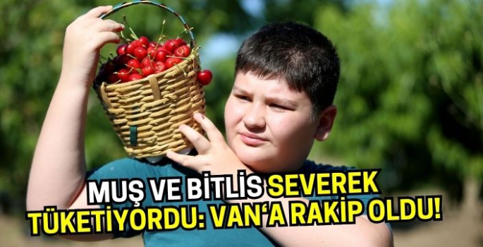 Muş ve Bitlis'in severek tükettiği Van meyvesine rakip çıktı: Kilosu 70 liradan satılıyor!
