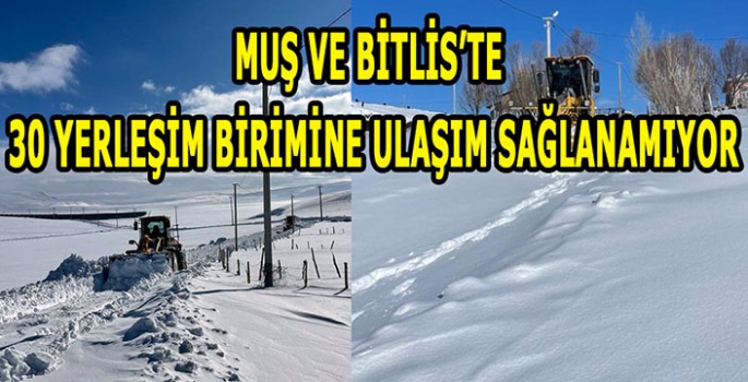 Muş ve Bitlis'te 30 yerleşim birimine ulaşım sağlanamıyor