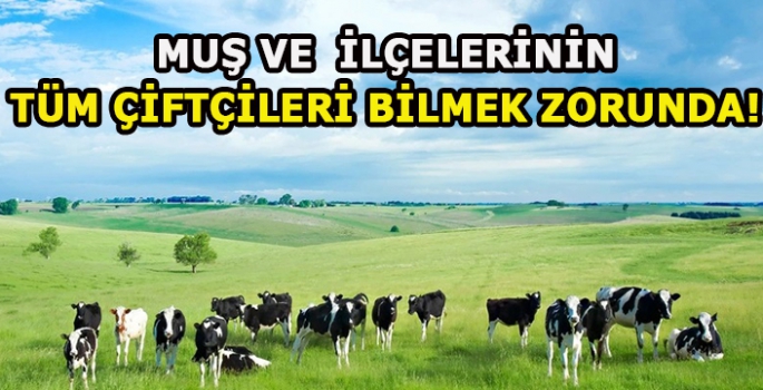 Muş ve ilçelerinde tüm çiftçiler bilmek zorunda! İnekler üzerinde hayrete düşüren bir özelik keşfedildi…