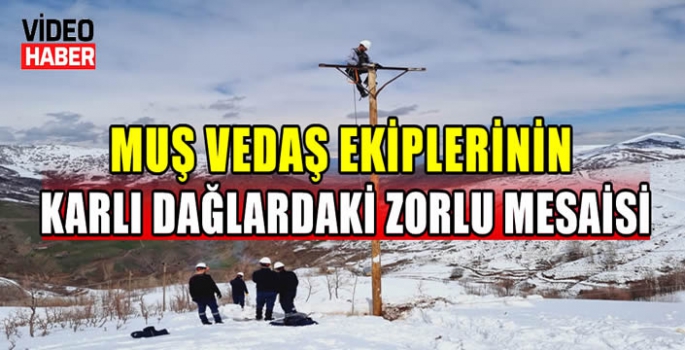 Muş VEDAŞ ekiplerinin karlı dağlardaki zorlu mesaisi 