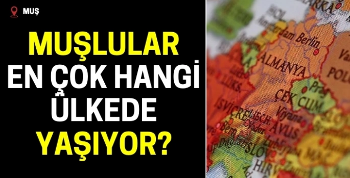 Muşların en çok hangi ülkelerde yaşadıkları ortaya çıktı!