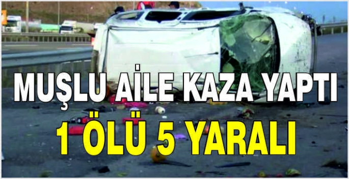 Muşlu aile kaza yaptı: 1 Ölü 5 yaralı