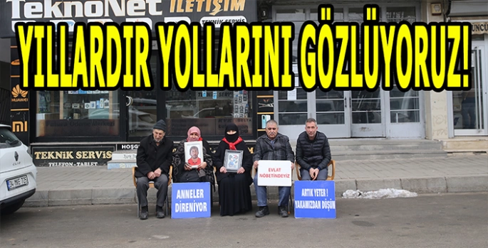 Muşlu aileler evlatlarını istiyor: Yıllardır gözümüz yollarda!