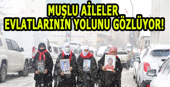 Muşlu aileler evlatlarının yolunu gözlüyor!