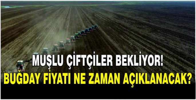 Muşlu çiftçiler bekliyor: Buğday fiyatı ne zaman açıklanacak?