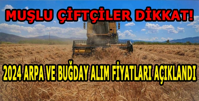 Muşlu çiftçiler dikkat! TMO'nun buğday ve arpa alım fiyatları açıklandı