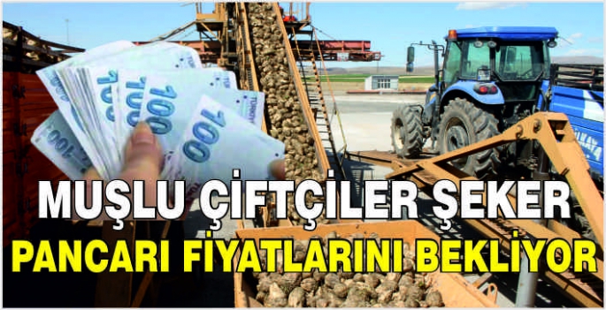 Muşlu çiftçiler şeker pancarı fiyatlarını bekliyor