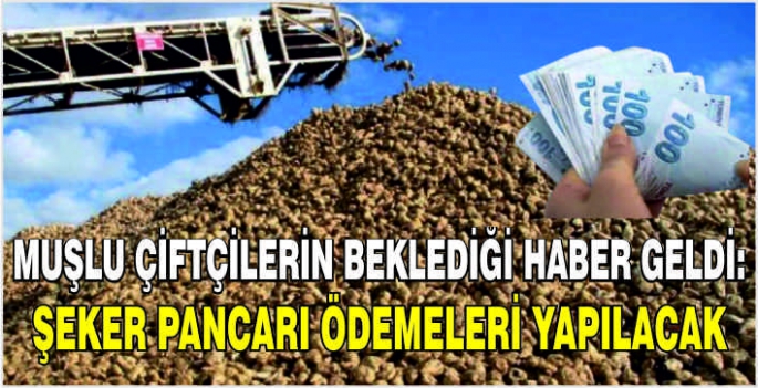 Muşlu çiftçilerin beklediği haber geldi: Şeker pancarı ödemeleri yapılacak