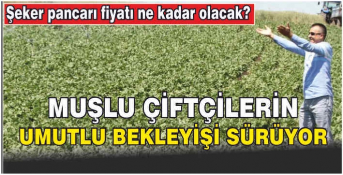 Muşlu Çiftçilerin bekleyişi sürüyor: Şeker pancarı fiyatı ne kadar olacak?