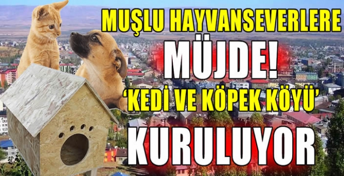 Muşlu hayvanseverlere müjde! ‘Kedi ve köpek köyü’ kuruluyor…