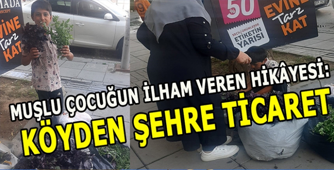 Muşlu küçük çocuğun ilham veren hikâyesi: Köyden şehre ticaret