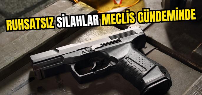 Muşlu Milletvekili Doğan Demir bireysel silahlanmayı gündeme taşıdı