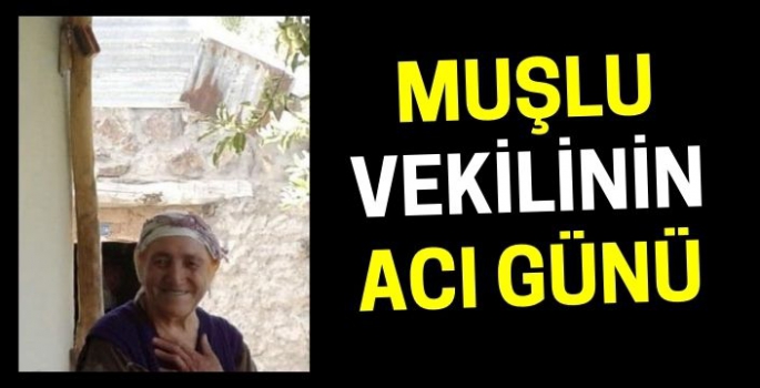 Muşlu milletvekilinin acı günü: Varto’da defnedilecek!