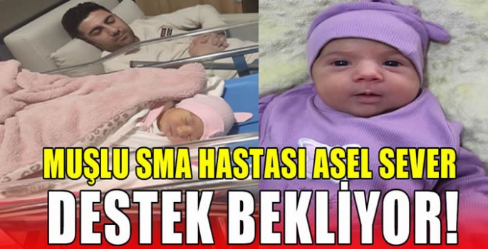 Muşlu SMA hastası Asel Sever destek bekliyor!