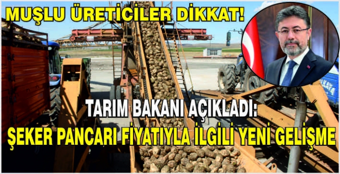 Muşlu üreticiler dikkat! Tarım Bakanı açıkladı: Şeker pancarı fiyatıyla ilgili yeni gelişme