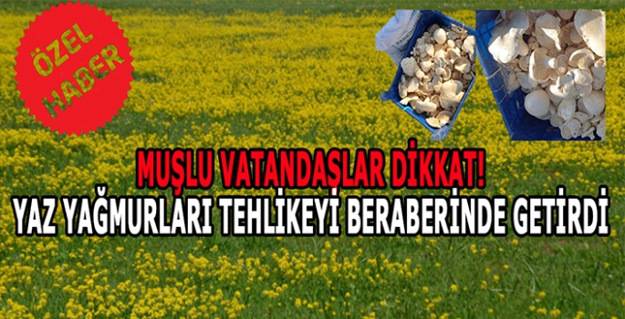 Muşlu vatandaşlar dikkat! Yaz yağmurları tehlikeyi beraberinde getirdi!