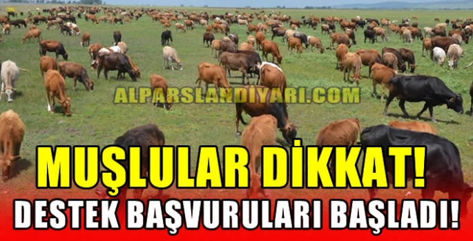 Muşlular dikkat! Destek başvuruları başladı!