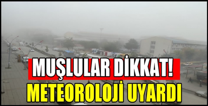 Muşlular dikkat! Meteoroloji uyardı: Gök gürültülü sağanak yağış...