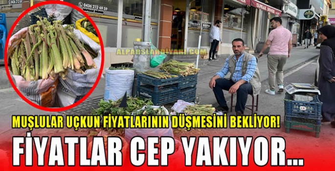 Muşlular uçkun fiyatlarının düşmesini bekliyor! Fiyatlar cep yakıyor…