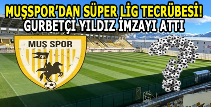 Muşspor'dan Süper Lig tecrübesi: Türk asıllı Alman yıldız kadroda!