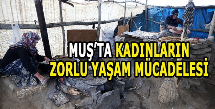 Muşun Kurtik dağında kadınların zorlu hayat mücadelesi