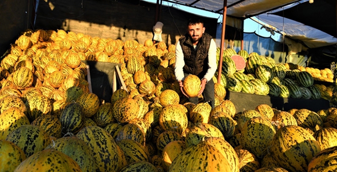 Narmikan kavunu tezgahlarda yer almaya devam ediyor