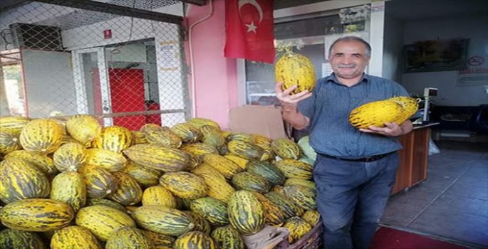 Narmikan kavunu tezgahlarda yerini aldı