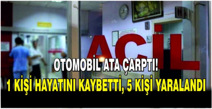 Otomobil ata çarptı: 1 kişi hayatını kaybetti, 5 kişi yaralandı