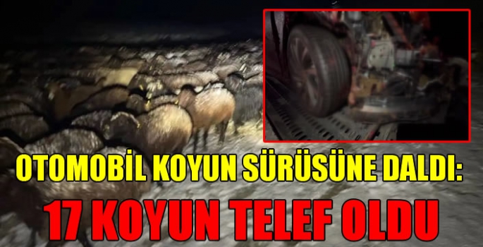 Otomobil koyun sürüsüne daldı: 17 koyun telef oldu