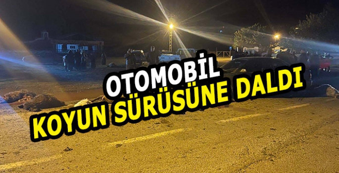 Otomobilin çarptığı sürüdeki 17 koyun telef oldu, 6 kişi yaralandı