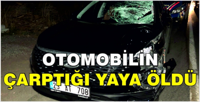 Otomobilin çarptığı yaya öldü