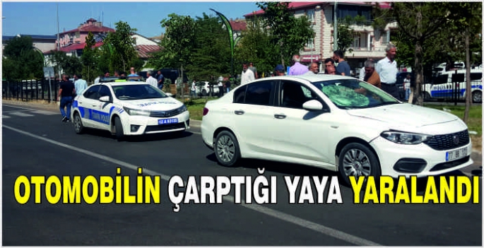 Otomobilin çarptığı yaya yaralandı