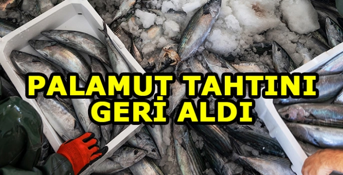 Palamut, 2024 yılında hamsiden tahtını geri aldı