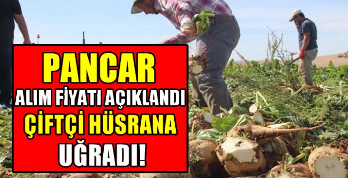 Pancar alım fiyatı açıklandı çiftçi hüsrana uğradı! Pankobirlik Başkanı mısır gibi olmayacak demişti!