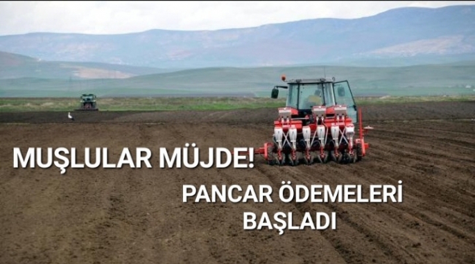 Pancar üreticilerine ödemeler  yapılacak