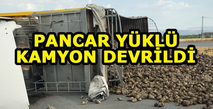 Pancar yüklü kamyon devrildi 2 kişi yaralandı