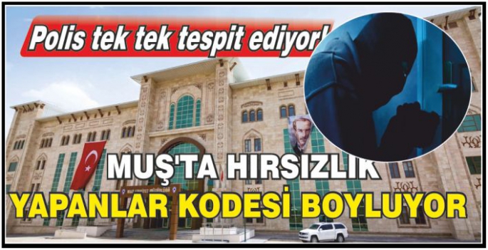 Polis tek tek tespit ediyor! Muş’ta hırsızlık yapanlar kodesi boyluyor