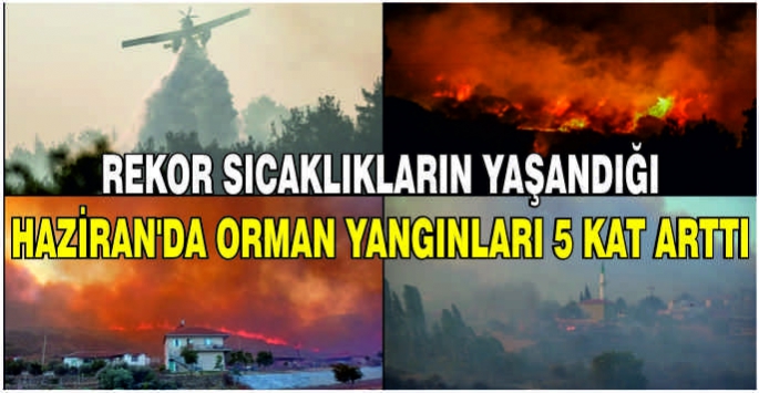 Rekor sıcaklıkların yaşandığı Haziran’da orman yangınları 5 kat arttı