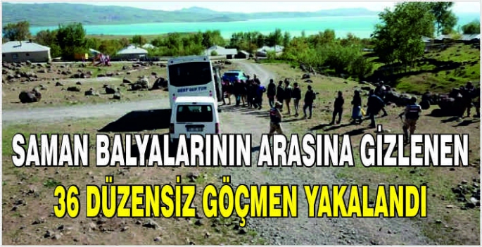 Saman balyalarının arasına gizlenen 36 düzensiz göçmen yakalandı