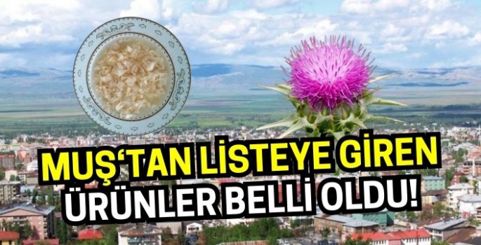 Sanayi ve Teknoloji Bakanlığı açıkladı: Muş’tan bu 3 özel ürün listeye girdi!