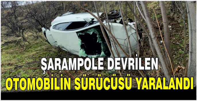 Şarampole devrilen otomobilin sürücüsü yaralandı