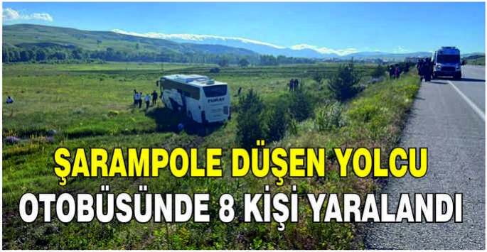 Şarampole düşen yolcu otobüsünde 8 kişi yaralandı