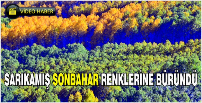 Sarıkamış sonbahar renklerine büründü