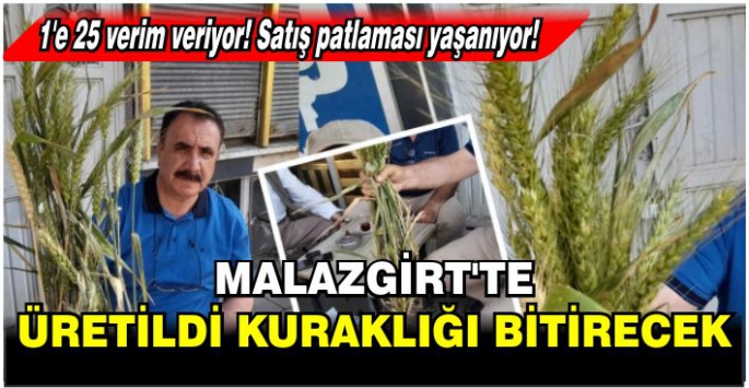 Satış patlaması yaşanıyor! Rusya menşei tohum Malazgirt’te kuraklığı bitirecek