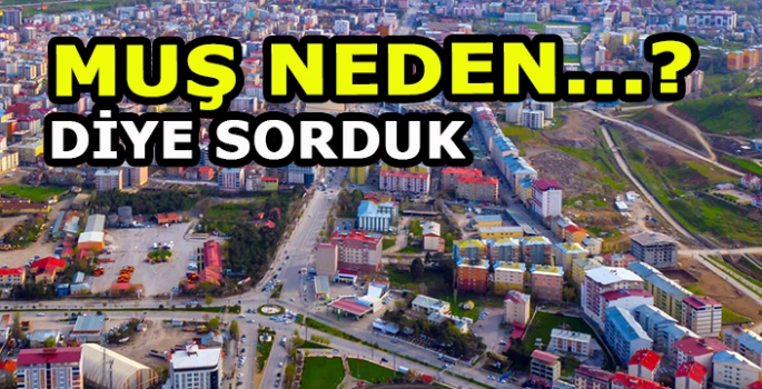 Şehir isimlerini yazıp neden diye sorduk: Muş neden…?