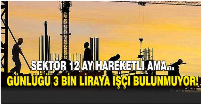 Sektör 12 ay hareketli ama... Günlüğü 3 bin liraya işçi bulunmuyor!