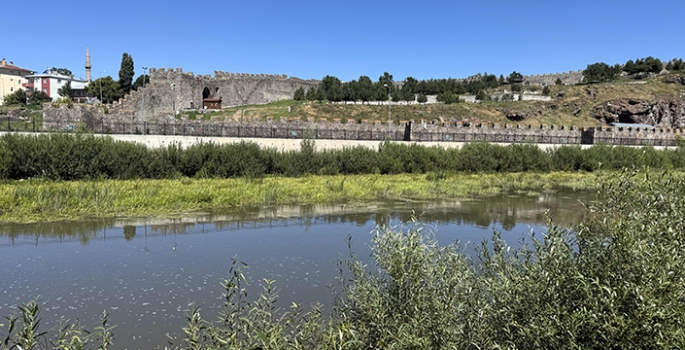 Sıcakların etkisiyle suyu azalan Ardahan'daki Kura Nehri'ni yosun kapladı