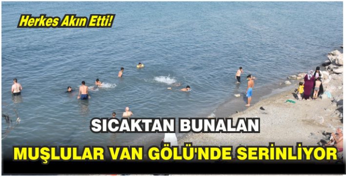 Sıcaktan bunalan Muşlular Van Gölü'nde serinliyor