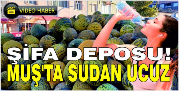 Şifa deposu! Muş,Malazgirt ve Bulanık'ta sudan ucuz